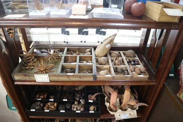 神奈川県にある珍古物店「うみねこ博物堂」はマニアック商品多数の訪れる価値がある店だ！